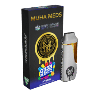 GUSH MINTZ | HYBRID